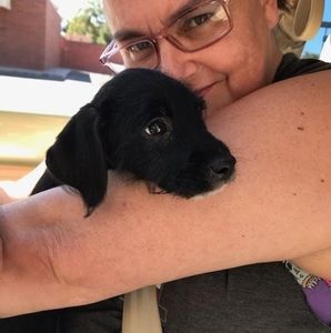 Meet your Posher, Carrie